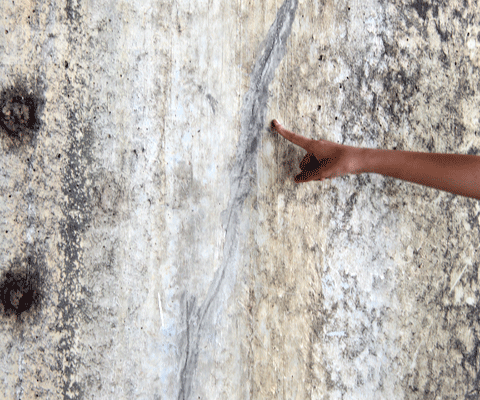 Đà Nẵng, cầu Rồng, sự cố, nứt, kỷ lục, Việt Nam, rồng vàng