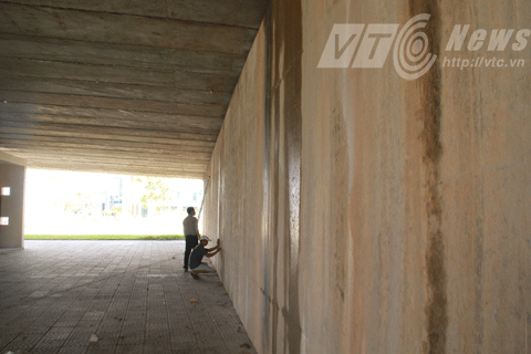 Đà Nẵng, cầu Rồng, sự cố, nứt, kỷ lục, Việt Nam, rồng vàng