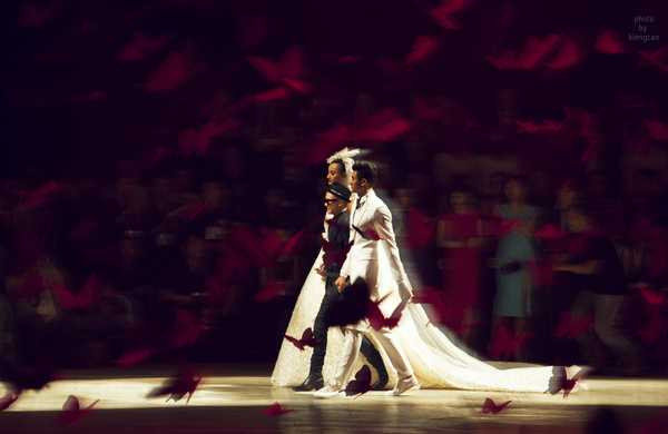 Choáng ngợp với Những cánh bướm cuối thu