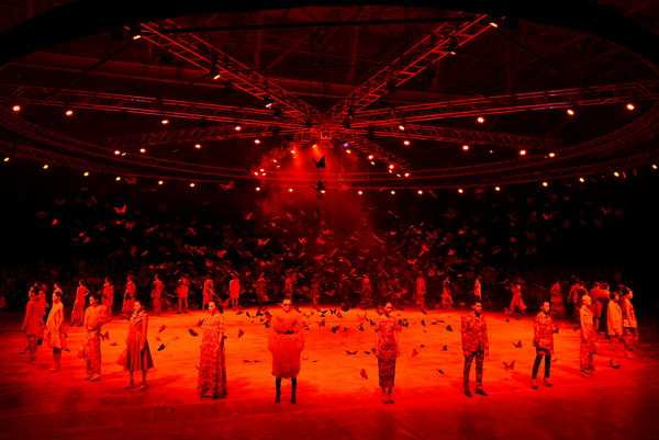 Choáng ngợp với Những cánh bướm cuối thu