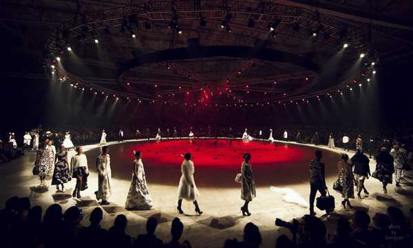 Choáng ngợp với Những cánh bướm cuối thu