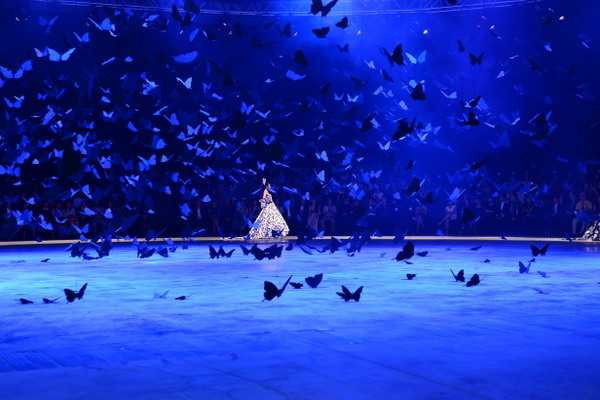 Choáng ngợp với Những cánh bướm cuối thu