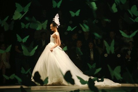 Choáng ngợp với Những cánh bướm cuối thu