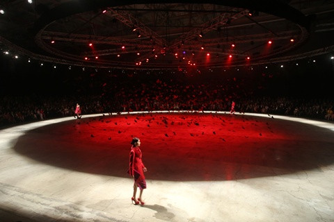 Choáng ngợp với Những cánh bướm cuối thu