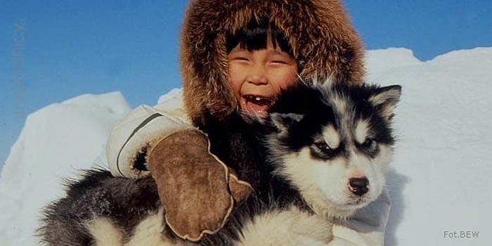 Họ có thể vô tư tồn tại trong băng giá. Với sự chịu đựng phi thường, người Eskimo được mệnh danh là tộc người chịu rét giỏi nhất hành tinh.