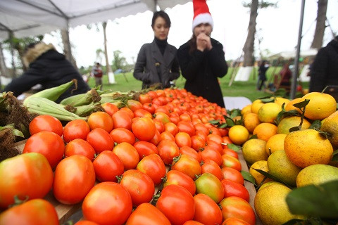 Chợ phiên EcoSunday 