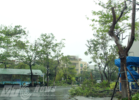 Đà Nẵng, Bí thư Thành Ủy, truy, giám đốc sở, bão, ngập rác, Trần Thọ
