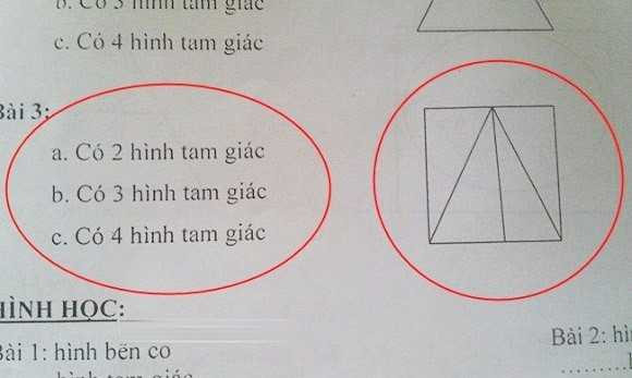 Đề bài toán hóc búa khiến dân mạng "khẩu chiến" (Ảnh: Internet).