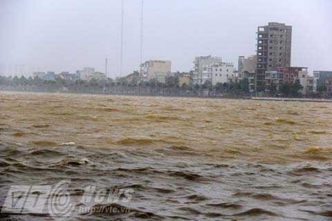 Đà Nẵng, bão Nari, bão số 11, chống bão, đổ bộ, di dân, khẩn cấp