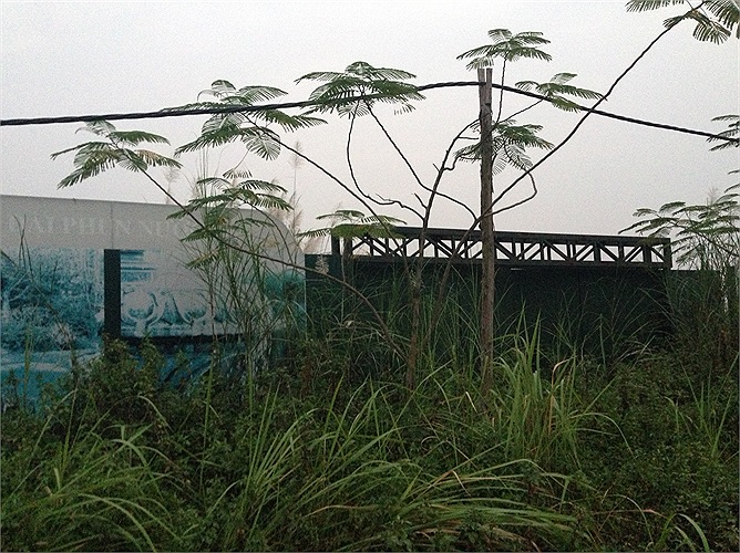 Tại thời điểm mở bán hồi năm 2011, dự án được chào với giá từ 21,5 đến 24 triệu đồng/m2, thu hút sự quan tâm của nhiều nhà đầu tư. Hiện giá của dự án này vẫn từ 22,5 tr/m2 (đã bao gồm VAT) và hoàn thiện nội thất cơ bản. 