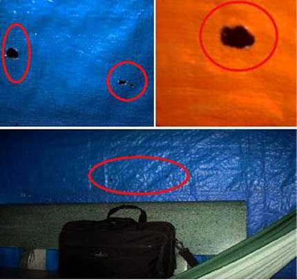  Các lỗ nhỏ được nhìn thông suốt giữa các nhà chòi với nhau.