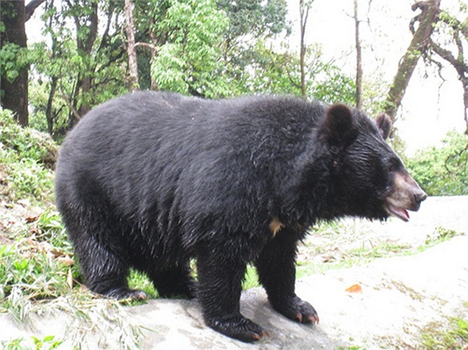 Số người rời bỏ khỏi ngôi làng ngày một tăng và chẳng bao lâu sau nó nhanh chóng trở thành một ngôi làng ma