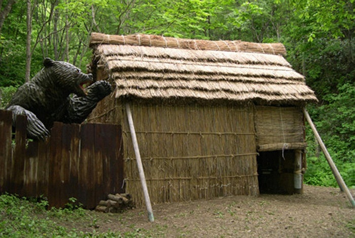 Nó thường tới làng Sankebetsu để ăn trộm ngô, gây nhiều phiền toái nên từng bị người dân bắn thương