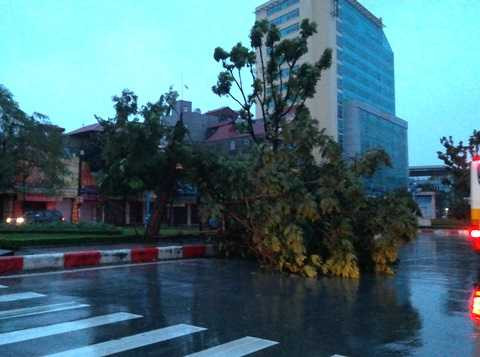 Hà Nội mưa lớn, cây xanh đổ do ảnh hưởng bão Haiyan