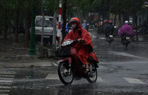 Hà Nội mưa lớn, cây xanh đổ do ảnh hưởng bão Haiyan