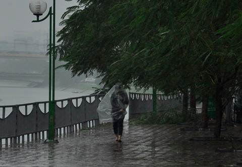 Hà Nội mưa lớn, cây xanh đổ do ảnh hưởng bão Haiyan