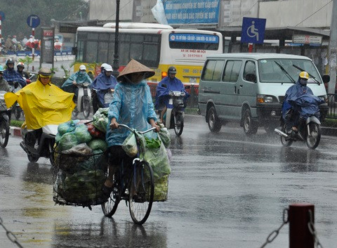 Hà Nội mưa lớn, cây xanh đổ do ảnh hưởng bão Haiyan