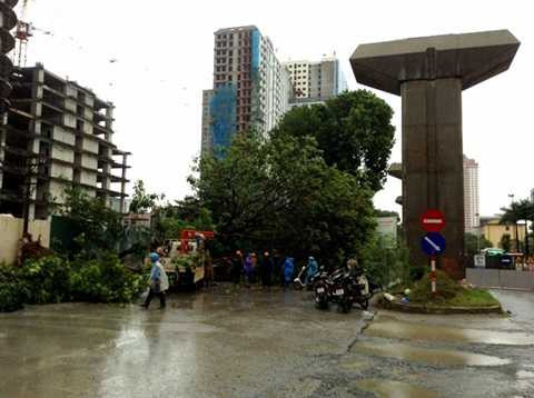 Hà Nội mưa lớn, cây xanh đổ do ảnh hưởng bão Haiyan