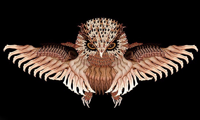 Cecilia Webber nói để cho ra được bộ sưu tập này cô phải chụp đi chụp lại hàng trăm lần