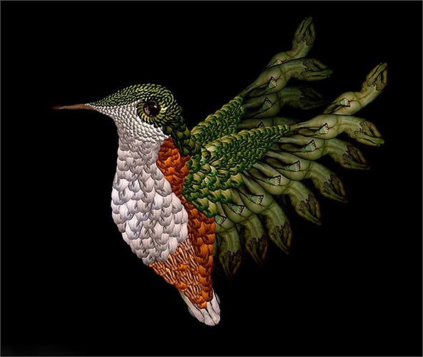 Một chú chim màu xanh đậm