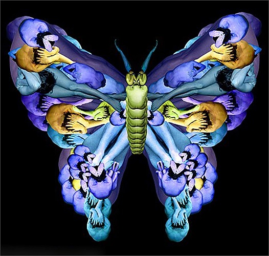 Một con bướm có màu sắc sặc sỡ