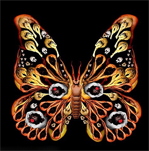 Hàng trăm nghìn người mẫu tạo dáng ở các tư thế khác nhau