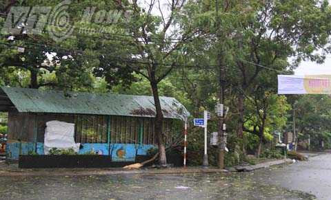 Bão Nari, bão số 11, Đà Nẵng, miền Trung, đổ bộ, gãy đổ