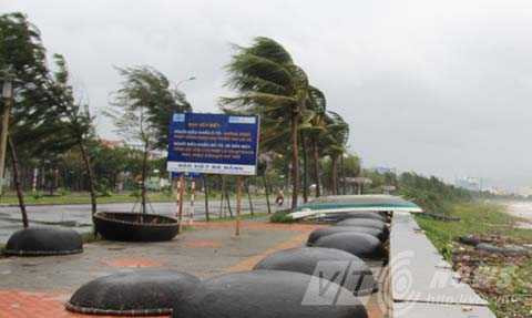 Bão Nari, bão số 11, Đà Nẵng, miền Trung, đổ bộ, gãy đổ