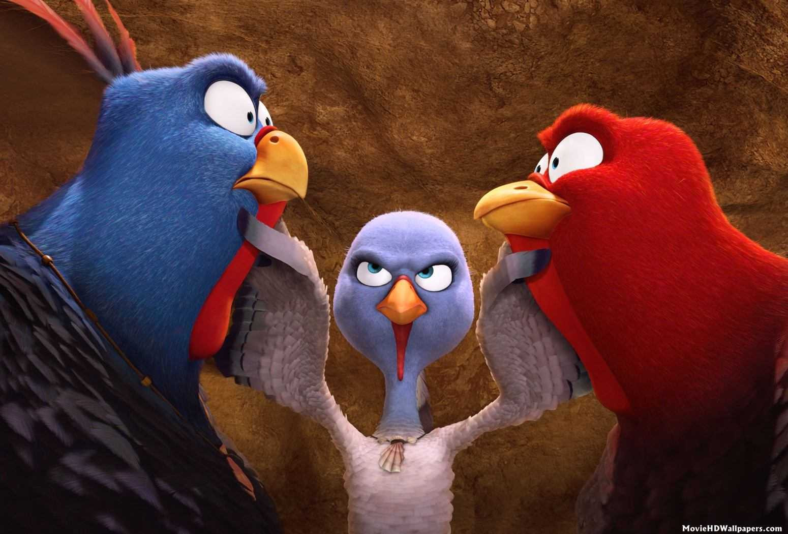 GIẢI CƯU GÀ TÂY