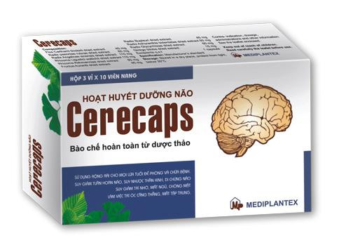 "Hoạt huyết Hoá Ứ" điều trị thiếu máu não