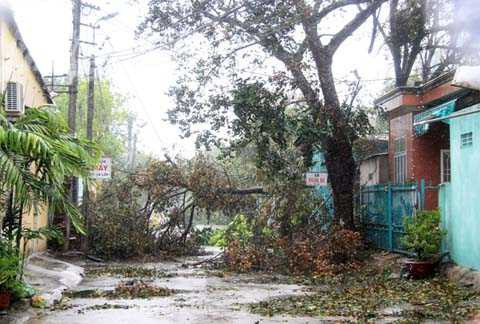 Đà Nẵng, bão số 11, bão Nari, cơn cuồng nộ