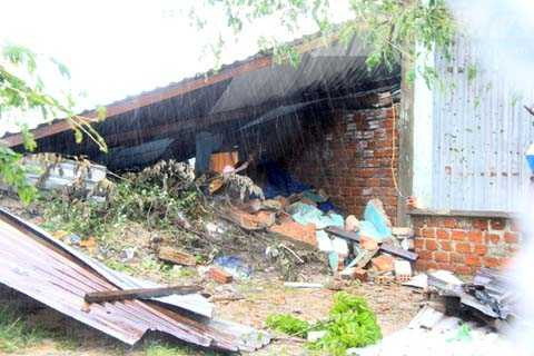 Đà Nẵng, bão số 11, bão Nari, cơn cuồng nộ