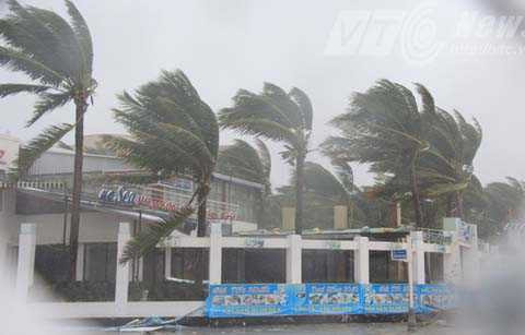 Đà Nẵng, bão số 11, bão Nari, cơn cuồng nộ