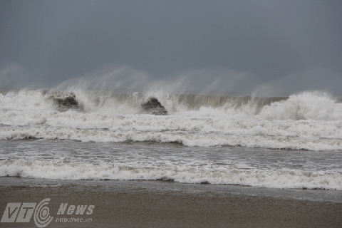 Báo Nari, bão số 11, tàu cá, ngư dân, trên biển, bị nạn, sơ tán