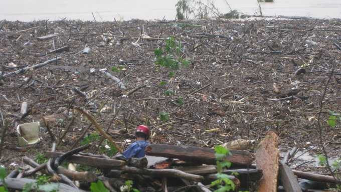 Củi rều dạt vào xã Sơn Trung, huyện Hương Sơn bên Quốc lộ 8 - Ảnh: Vũ Toàn