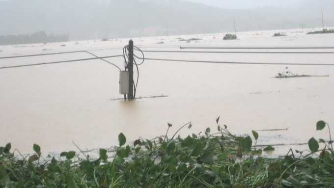 Nước trên sông Ngàn Phố nhấn chìm 19/32 xã của huyện Hương Sơn. Trong ảnh: một cột điện bị nhấn chìm - Ảnh: Vũ Toàn