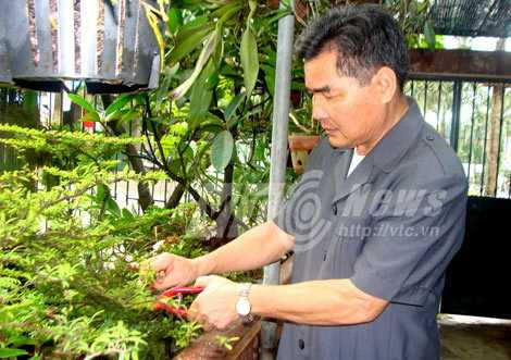 đại tướng võ nguyên giáp