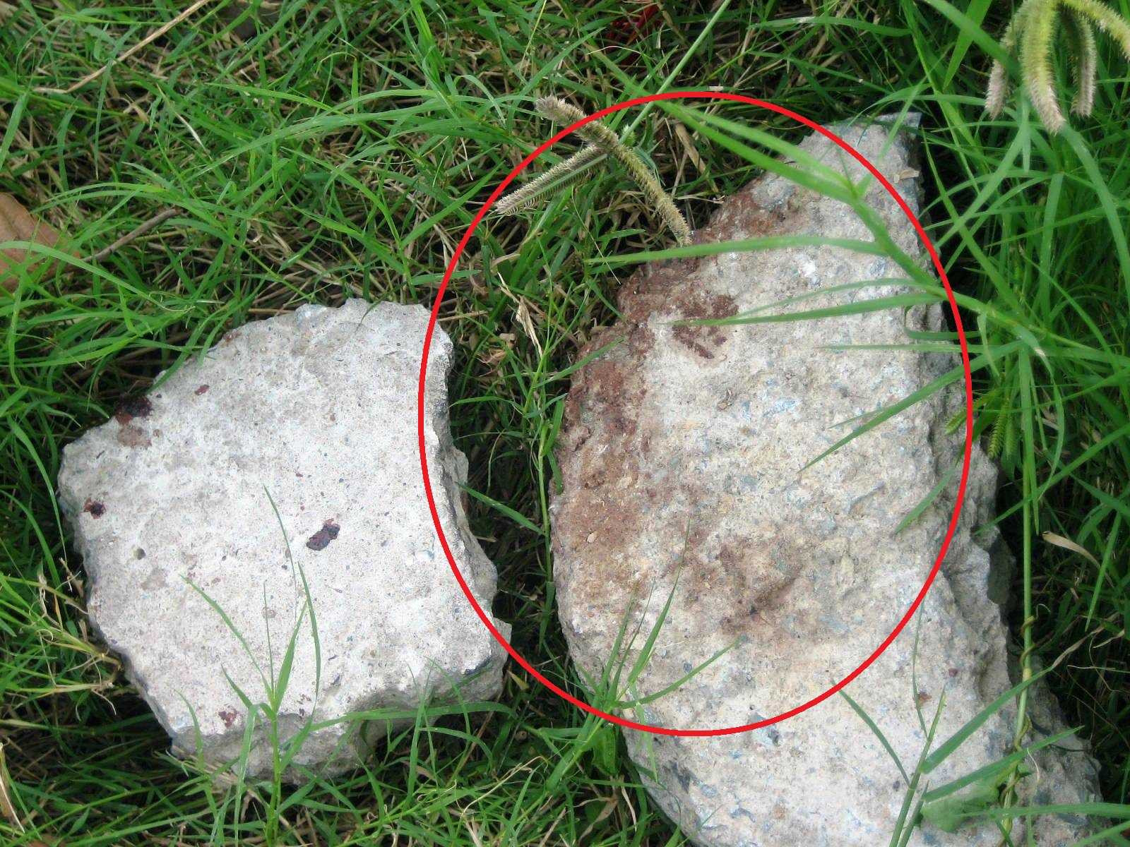 TP.HCM, phát hiện, thanh niên, chết, vết máu, khuya, bất thường