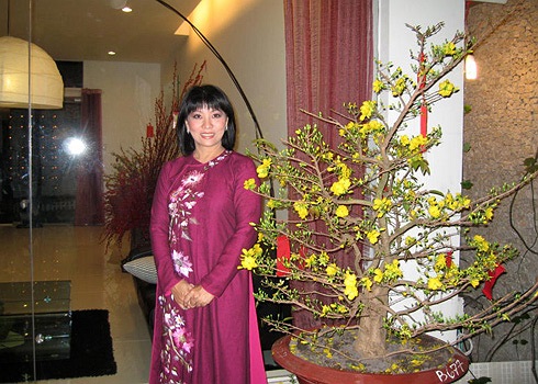 Rất nhiều các mảng kính cao đễ mở tầm nhìn từ mọi góc ngồi bên trong nội thất hướng ra bên ngoài. 