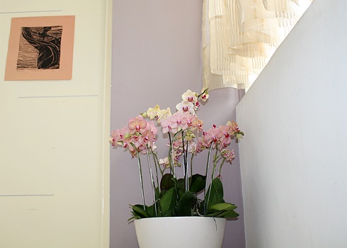 Anh thích tiếp đón những bạn bè thân ở nơi này. 