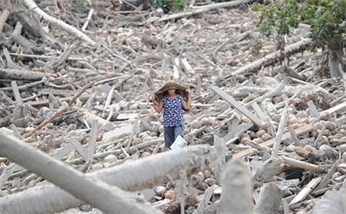 Siêu bão Bopha năm ngoái tàn phá Mindanao, Philippines, làm khoảng 1.900 người chết hoặc mất tích. Đây là khu vực ít bị các cơn bão tấn công nên người dân dường như đã chủ quan trong việc phòng chống siêu bão. Ảnh: AFP