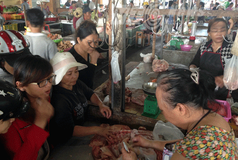 Haiyan, siêu bão, hủy diệt, cuống cuống, ứng phó bão