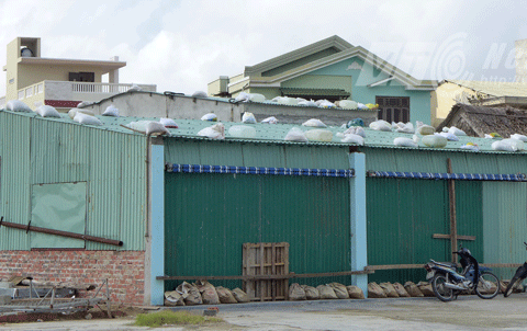 Haiyan, siêu bão, hủy diệt, cuống cuống, ứng phó bão