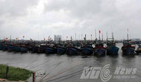 Đà Nẵng, bão Haiyan, siêu bão, hủy diệt, cuống cuống, ứng phó bão