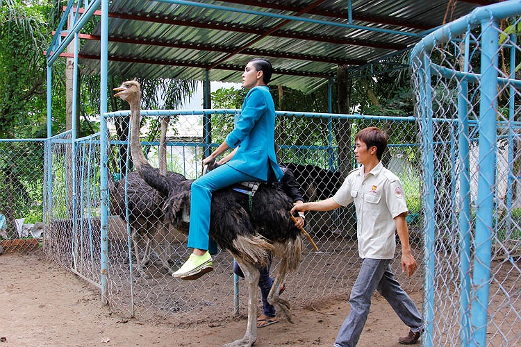 Các thí sinh nam dù dạn hơn nhưng cũng không ngoại lệ trong thử thách này. 