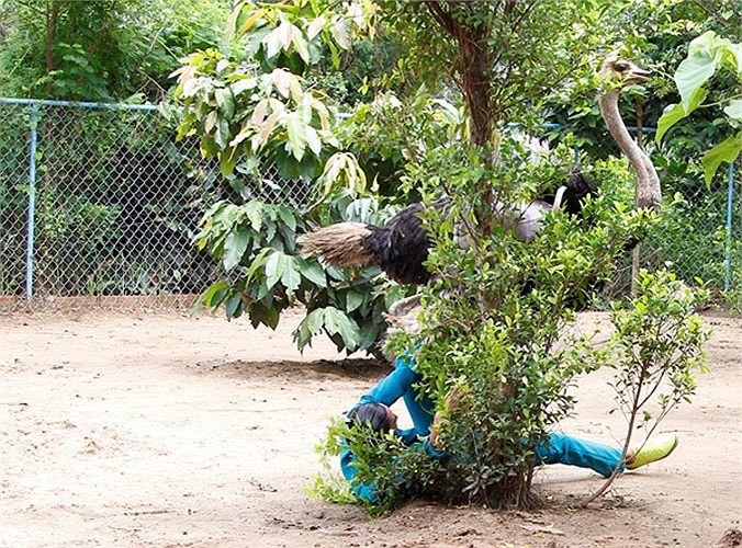 Quang Đại cũng bị té ngã rất đau.