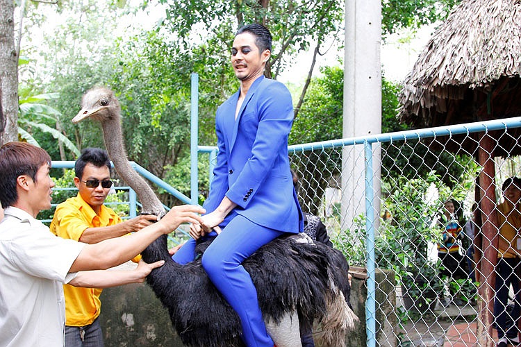 Dương Mạc Anh Quân cũng nhát gan. 