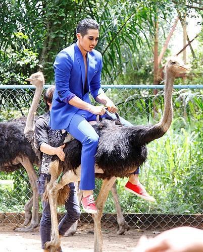 Tập 5 Vietnam’s Next Top Model với những phần thi tài đầy kịch tính của các thí sinh sẽ phát sóng trên VTV3 vào lúc 20h ngày 3/11/2013.