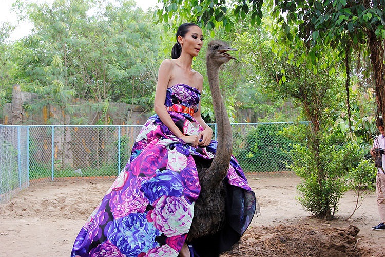 Thí sinh Nguyễn Hằng sợ sệt và loay hoay mãi chưa biết cách cưỡi.