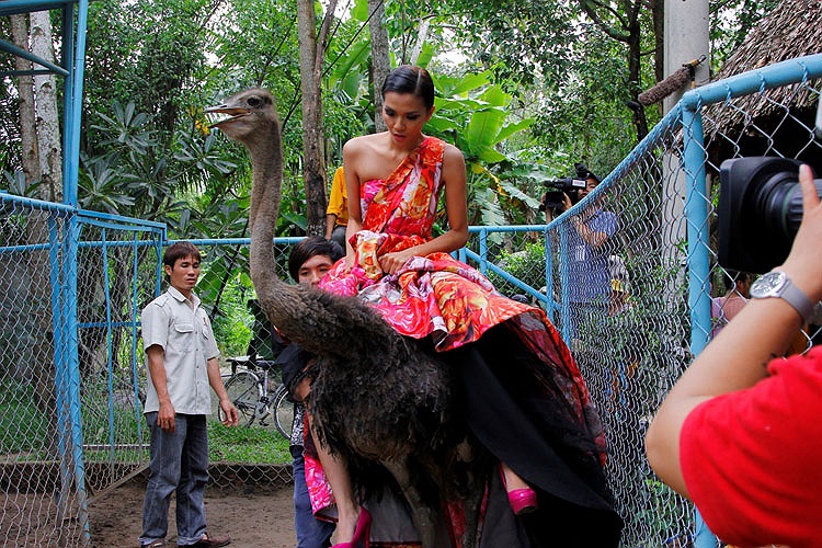 Hà Thu cũng ko ngoại lệ khi lần đầu cưỡi đà điểu